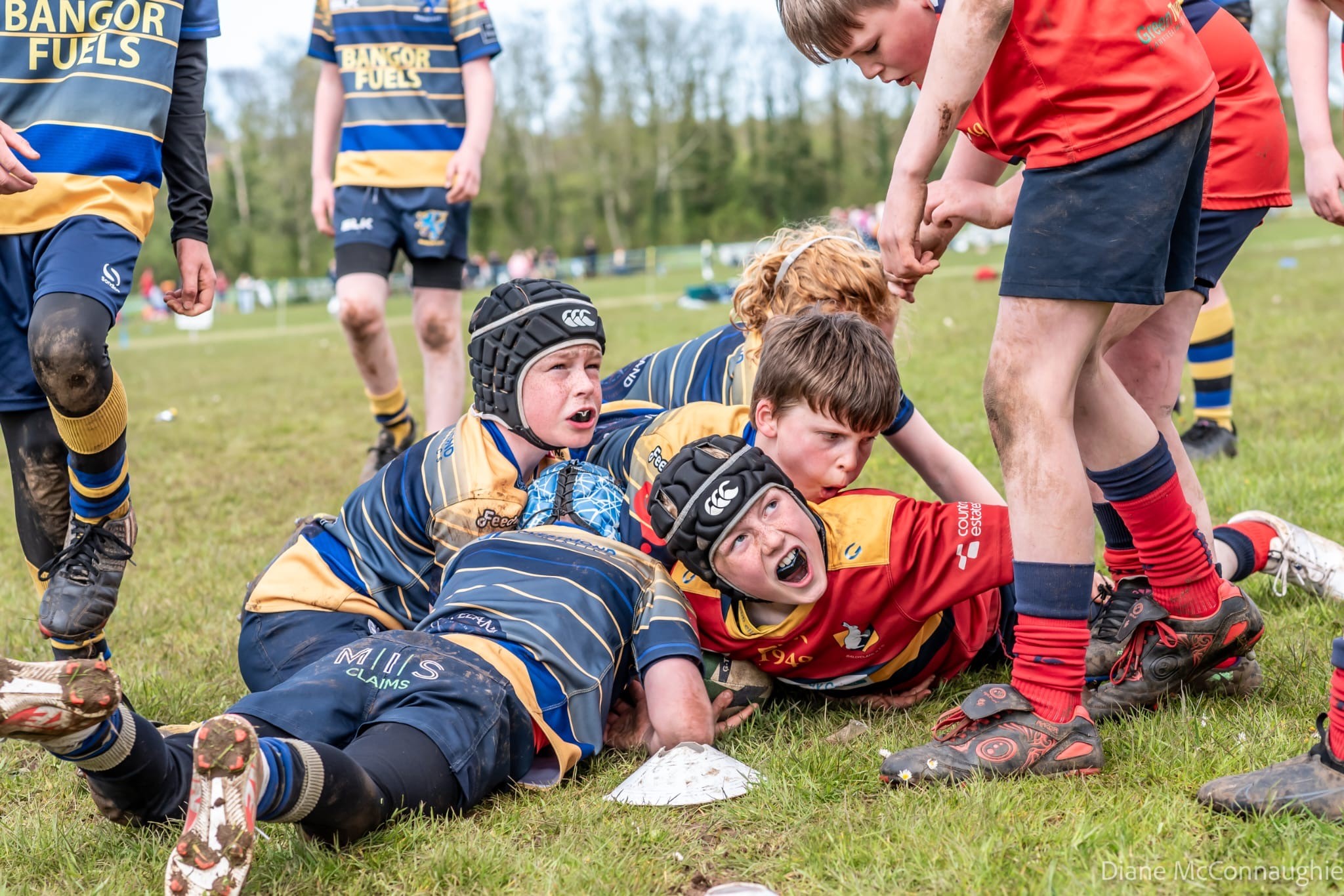 BRFC-MINIS-3